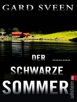 cover image of Der schwarze Sommer